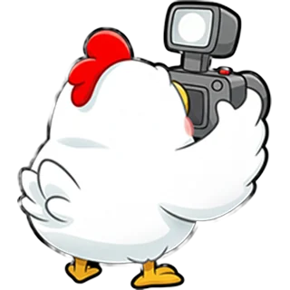 Κοτόπουλο-κάμεραμαν – Chicken Road Race