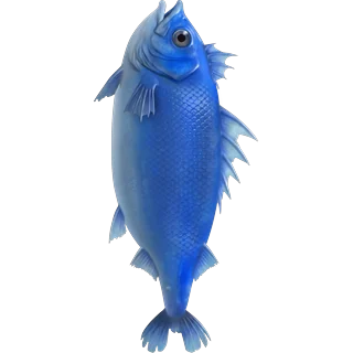 Μπλε ψάρι – Ice Fish