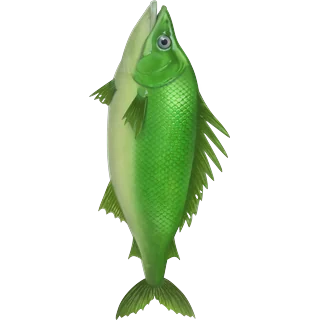 Πράσινο ψάρι – Ice Fish