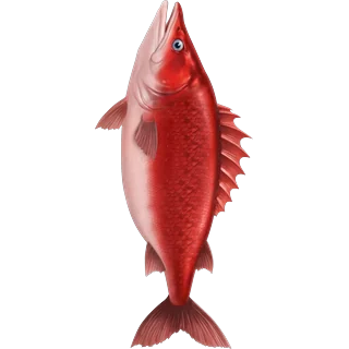 Κόκκινο ψάρι – Ice Fish